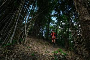 BIB: 
                            <button type="button" onclick="openModal(19395502)" class="btn btn-primary btn-sm float-right btn-popup" data-toggle="modal" data-target=".modal-high-quality">
                        <i class="fas fa-shopping-cart"></i> Add to Cart
                    </button>
                                            <button type="button" onclick="isThisMe(19395502, true)" class="btn btn-success btn-sm float-right btn-popup btn-isme hidden" data-toggle="tooltip" data-placement="bottom" title="นี่คือรูปของคุณใช่ไหม คลิกที่นี่เพื่อเอาเข้าอัลบั้ม">
                        <i class="fas fa-plus"></i> Add to album
                    </button>
                    <button type="button" onclick="isThisMe(19395502, false)" class="btn btn-warning btn-sm float-right btn-popup btn-isnotme hidden">
                        <i class="fas fa-ban"></i> Remove from album
                    </button>